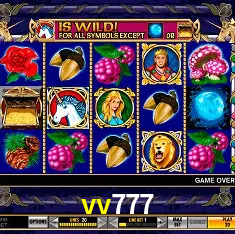 vv777 Brasília - VIP Program